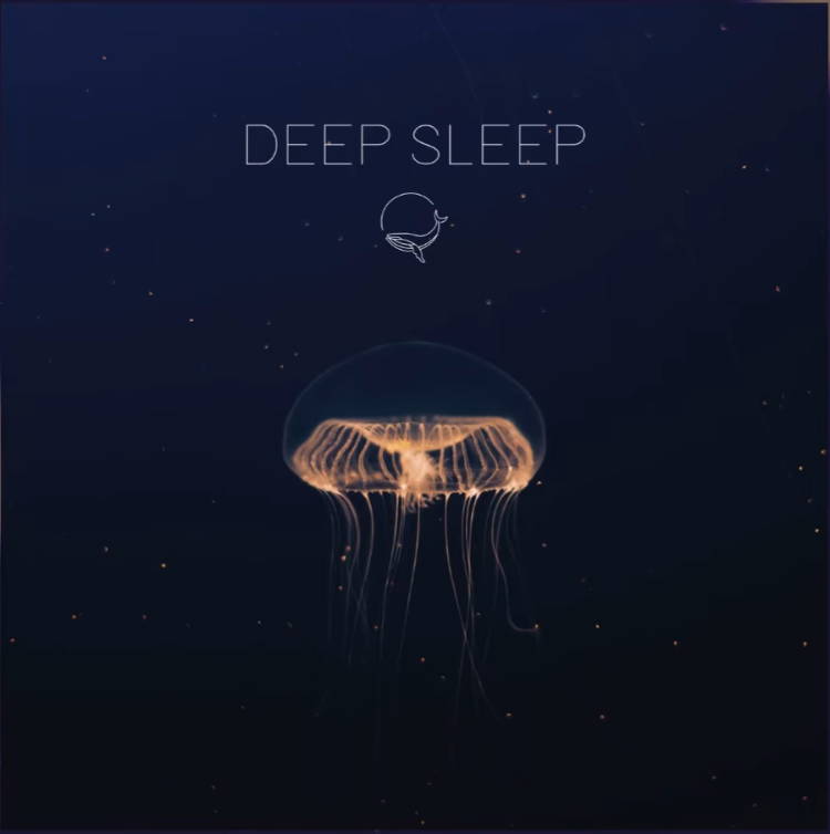 Cover for Deep Sleep